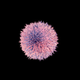 Illustration for article titled New polio vaccine gives hope for total eradication of the disease